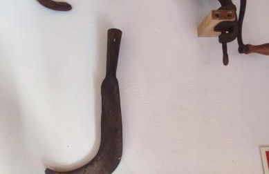 10 da Muralha - Foto 23