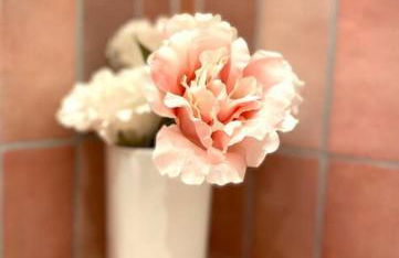 Altstadt pur!An der wunderschönen Katharinenkirche - Foto 12