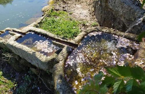 Casa de Sta Comba - Foto 19