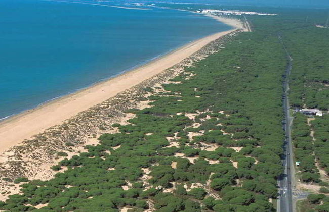 Leo Punta Umbria - Foto 70