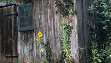 Charming Villa With A View Of Schermützelsee - Foto 5