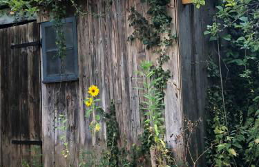 Charming Villa With A View Of Schermützelsee - Foto 5
