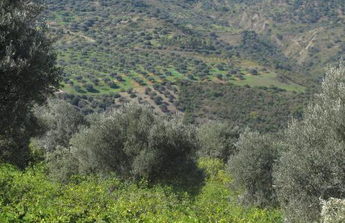 Casa Migliaca - Foto 26