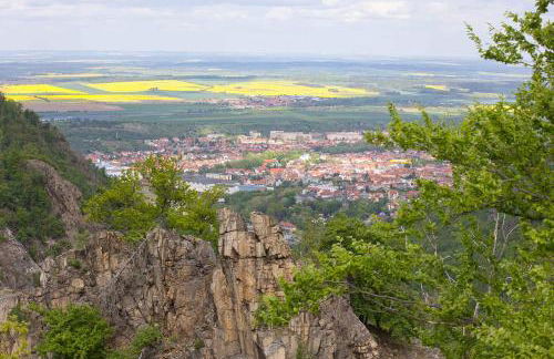 Holiday home in Schulenberg im Oberharz 2685 - Foto 21