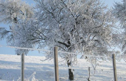 Ferienwohnung Bockelt - Foto 8