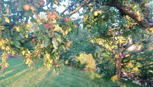 Ferienwohnung Wandersnest - Photo 5