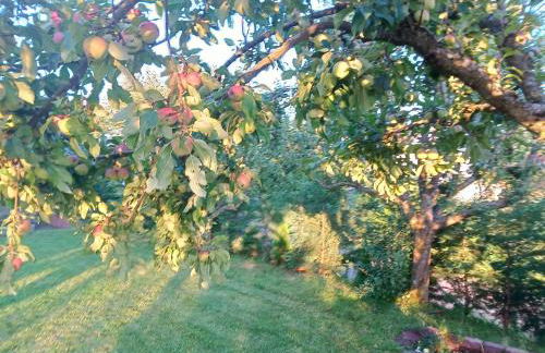 Ferienwohnung Wandersnest - Photo 5