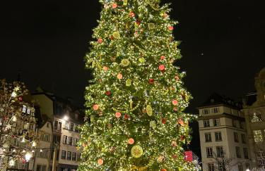 Robertsau, jardin en ville - Foto 25