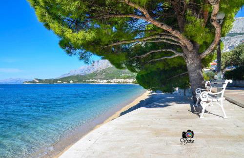 Vila Maslina Apartments mit Pool und Garten nahe am Strand - Foto 22