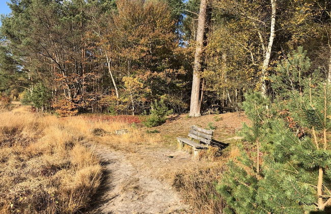 Boutique Holiday Home in Nieuwleusen near Forest - Foto 11