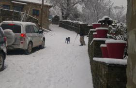 Xenonas Zagorisio - Photo 25