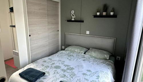 Joli Bungalow 464, 4-6 pers, wifi, terrasse, Camping Siblu Lac des Rêves Lattes - Foto 4, towels, wardrobe