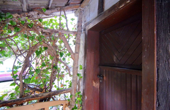 Ferienhaus in Hessen mit Garten - Foto 3