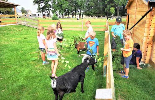 Teichhauswohnung - Foto 11