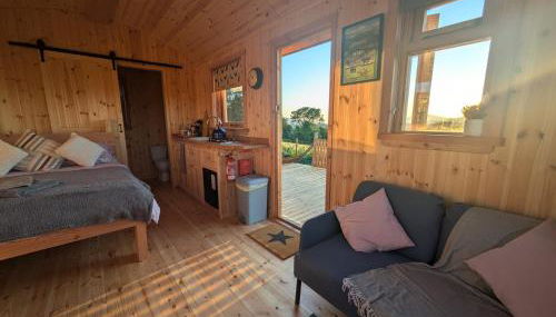 Hafan Gelli Sheperds Hut - Tudwal - Foto 4