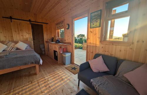 Hafan Gelli Sheperds Hut - Tudwal - Photo 4