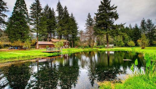 4-Bedroom Chateau in Southern Washington- Luxurious Retreat with Pond & Creek - Foto 4