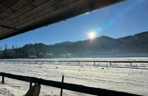 WHITE BROOK Luxury Chalets with Jacuzzi - Dolina Chochołowska - Kościelisko - Zakopane - Tatry - Foto 29