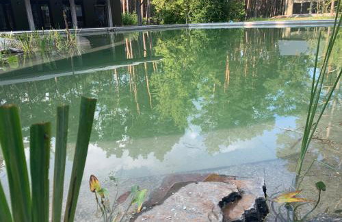 Góra Spokoju Osada klimatyczna-leśna - Foto 26