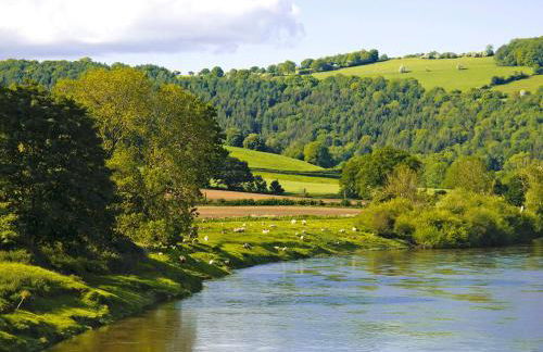 The Stables Trap Farm - Foto 9