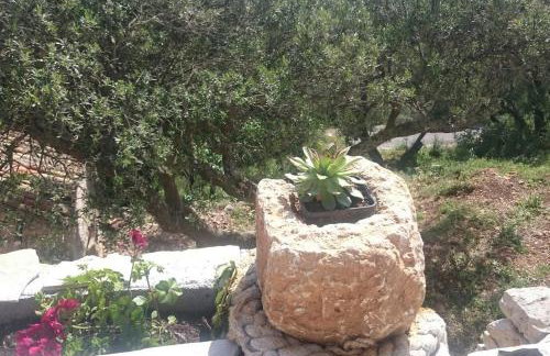 Retro apartment on island Mljet - Foto 37