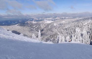 Two apartments in one house - Ferienhaus Matz - Foto 23