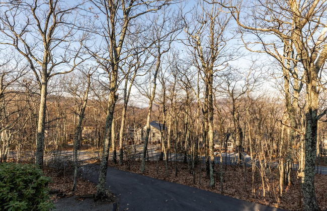 Wintergreen Retreat Jacuzzi Sauna dog Friendly - Foto 49