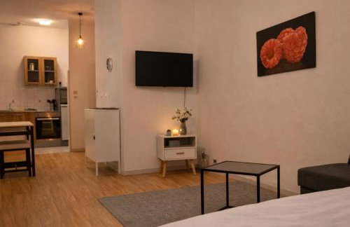 STUDIO COSY - HYPERCENTRE - CALME - 50M2 - Wi-FI - Photo 21