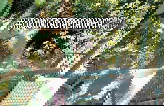 Lovely 6-bed Cottage in Braga Enjoy and Relax - Foto 27