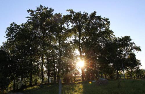 Balentziaga - Photo 30