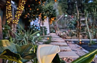 Casa 99 in Barbéns, Miranda do Corvo - Foto 12