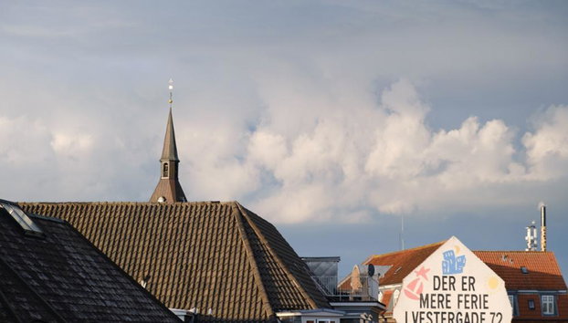 Lo mejor de la ciudad de Odense - Tour privado a pie - Foto 4