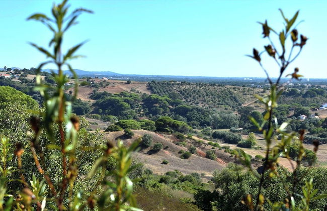 Monte Sardinha - Foto 76