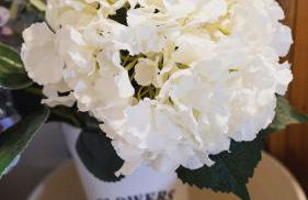 La Lavandière, centre historique, fibre, ESS, rez-de-chaussée, BedinShop - Foto 11