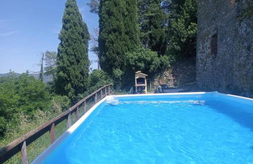 Casale Rosennano - Tinaia - Photo 28