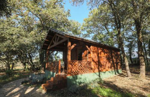 Rouleraventoux, Gîte sportif avec piscine, sauna, salle de sport, jardin - Foto 35