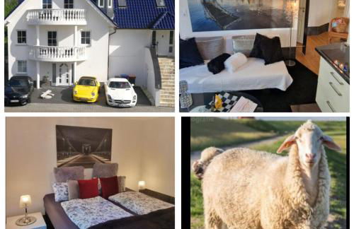 Am alten Deich - Foto 1