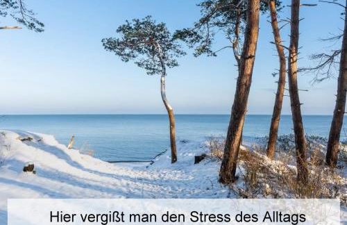 Ostsee-Urlaub-Zempin direkt am Küstenwald, nur wenige Minuten zum Strand, optimal für Paare mit 1 Hund bis 45 cm Schulterhöhe - Foto 32