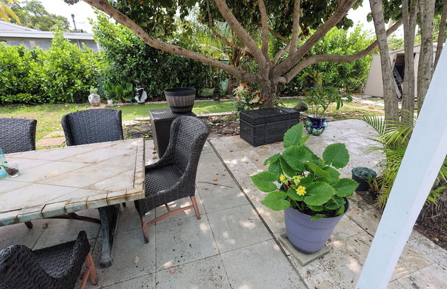 Paradise Hollywood Gardens - Photo 10