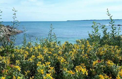 T2 Hyper cosy Plage et port à pieds - Foto 30