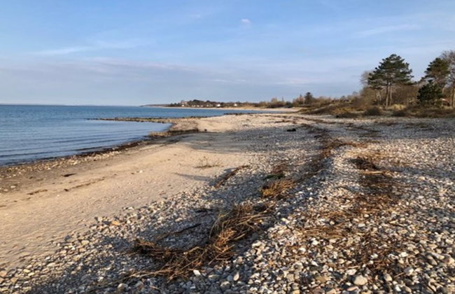 "Hjort" - 100m from the sea - Foto 4