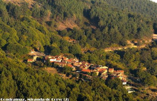 Serpins Estação Al - Foto 9