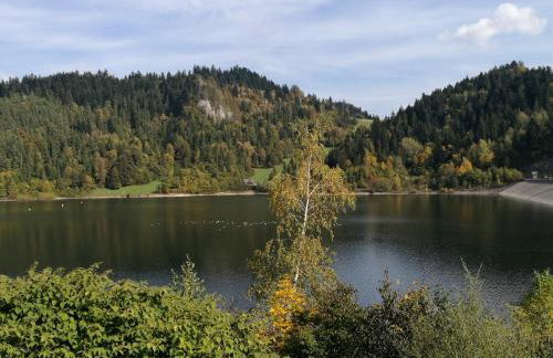 Willa Przekop - Foto 64