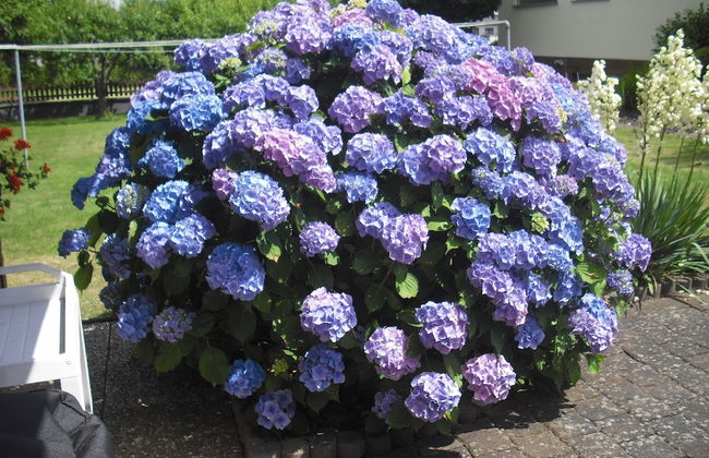 Ferienwohnung Haus Kotthoff - Foto 42