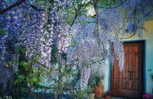 Casa Vacanze Villa Marisol - Foto 16