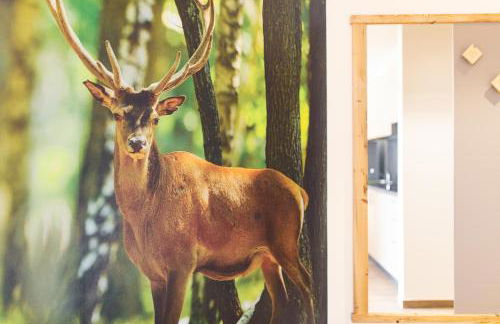 Residence Mille Montagne - Foto 11