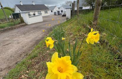 Ma Monaghan's Cosy Cottage County Tyrone - Foto 1