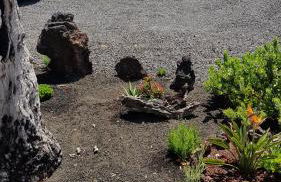 Casa Lela II - Foto 14