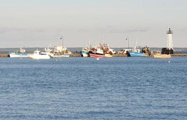 Port de La Houle - Beau 2 pièces classé 3 étoiles avec stationnement - Photo 49