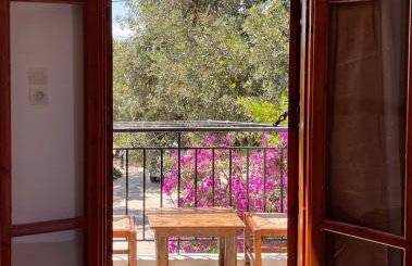 Cretan Hive - Foto 7